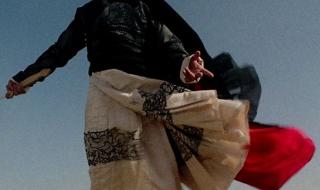 武侠甄子丹 武侠甄子丹